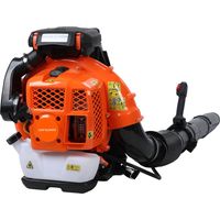Souffleur de feuilles à dos - 900CFM - Moteur 3.5kW/80cc, ergonomique, faible bruit, réservoir 2.3L, tuyau long