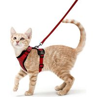 Harnais Chat Petit Chien Laisse Harnais Chaton Réglable Rouge Collier Harnai Chat Refléchissant Gilet Respirant pour Lapin, Chat Européen, Maine Coon, Persan, Attache Dessus avec Laisse(XS
-rouge