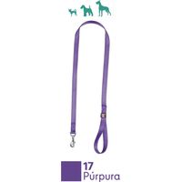 Laisse en Nylon pour Chiens 100 cm x 2 cm Violet
