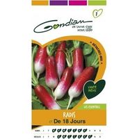 Gondian - Radis de 18 Jours