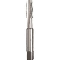 SCHILL - 101 Taraud machine HSS goujure droite 8X125 - 001018X125 - Ce produit de marque Schill est neuf.
