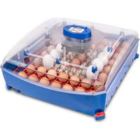 Incubatrice per Uova Professionale con Biomaster Borotto Lumia 56