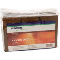 Cocos Brix x 6 - PLAGRON
