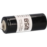 Akku LiFePO4 3,2V 3,3Ah Not- und Sicherheitsbeleuchtung für RP LFP3233