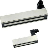 RED MAGNETICS Elettromagnete magnetico (stato in assenza di corrente) 1500 N 24 V/DC 54 W ITS-PER-1504035-24VDC