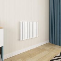 Biubiubath Flat Panel Radiator 600x748mm Double White