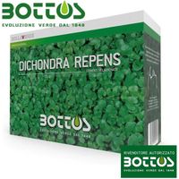 Graines de dichondra repens 1 kg – Gazon couvre-sol résistant à la chaleur – Pour espaces ensoleillés et ombragés – Faible entretien – Bottos