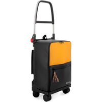 Poussette De Marché Two Gc T-shop 4 Roues Pivotantes 27l Poussette De Marché Two Gc T-shop 4 Roues Pivotantes 27l - Rolser