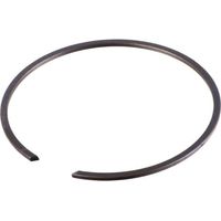 Frenillo ZF 0630513007