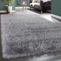 Paco Home Tappeto Salotto Moderno Soggiorno Pelo Lungo Monocolore Peloso Moderno Grigio 80x150 cm