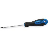 Standard-CrV-Schraubendreher, Torx T15x100 mm DOGHER 349-T15