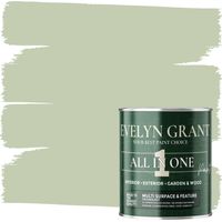 EVELYN GRANT All-IN-ONE Paint & Primer - Multi-Surface Paint For Interior Walls, Outdoor Garden & Exterior Walls, Wood Furniture - High Durability Multi-Feature - Sage Green - 5L - Matt