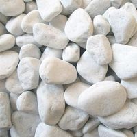 Ciottoli bianco valle d'itria pietre naturali decorativi giardini aiuole vasi 1 kg misura 15/25 - confezione 1