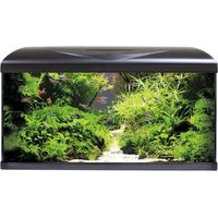 AMTRA SYSTEM TANK V2 80 LED BLACK
