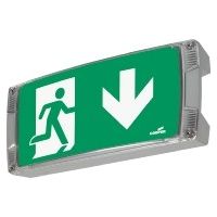 Ceag Notlichtsysteme LED-Einzelbatterie-Leuchte m.autom. Funkt.test AtlanticLED SCGLine+