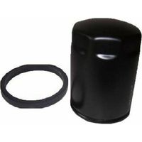 Filtro de combustible externo DIESEL motor agrícola RUGGERINI RF RD alto 07.054 175.19