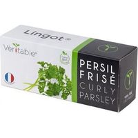 Lingote perejil rizado veritable verde semillas biológicas
