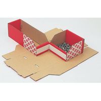 Bac de rangement RS PRO Rouge, 100mm x 100mm x 400mm ( Prix pour Boîte de 25 )