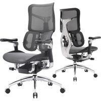 SIHOO Doro S300 Ergonomischer Bürostuhl, Computerstuhl, Gaming-Stuhl mit dualem dynamischem Lendenwirbelstützsystem, 6D-koordinierten Armlehnen, verstellbarem Rollstuhl (Schwarzem)