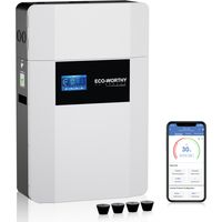 Eco-Worthy – Batterie LiFePO4 48V 100Ah – Installation murale intérieure – Bluetooth et Wi-Fi – Protection antigel pour systèmes hors réseau