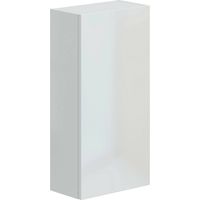 Dmora - Mobile pensile Berlino, Armadietto sospeso, Mobiletto a muro, Armadio ausiliario multifunzione, 30x16 h60 cm, Bianco lucido