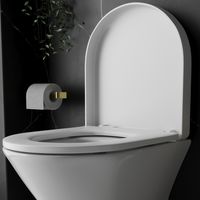 Genuine RAK Resort D Shape Toilet Seat Soft Close Quick Release - Gloss White Wrap Over
