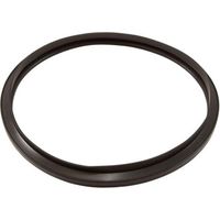 Filtro a cartuccia Hayward CX250F – Compatibile con C250, C500, C750, C1000 Star-Clear