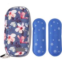 Sac isotherme pour insuline, pochette de transport et de rangement réfrigérée avec fermeture éclair, pour une utilisation intérieure et extérieure (type 4).