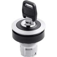 Schlegel Rontron RRJSSA18 conmutador con llave negro