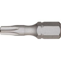 Punta a vite 1/4 DIN3126 C6.3 T15x 25mm Torsion FORUM