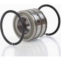 Cuscinetto a rulli cilindrici SL045014 PP 54mm AD 110mm ID 70mm foro cilindrico INA
