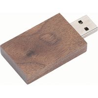 Clé USB Bois Portable Mini avec Boîtier - Mémoire Flash CM100171GB pour PC