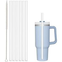 Pailles de Remplacement Compatibles avec Stanley 30 oz 40 oz, Lot de 6 Pailles avec Brosse, 310 mm, PE