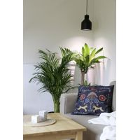 Venso E27 SAGA Lampenschirm Schwarz LED Pflanzenlampe