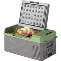 Kompressor Kühlbox 16L Elektrische Kühlbox 12V 230V mit ECO-Modus, Tragbare Gefrierbox für Auto, LKW, Camping & Boot, Mini Kühlschrank Grau/Grün