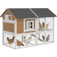 Un poulailler avec une zone d'activité, des pondoirs, des plateaux amovibles et un toit en asphalte peut contenir 4 poules dimensions : 200 x 104 x 145 cm en bois, marron.