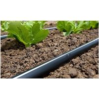 MINI ROLLO DE CINTA DE RIEGO POR GOTEO A 20 CM 125 M