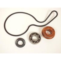wasserpumpe hot rods für quad polaris 700 sportsman 2002-2009