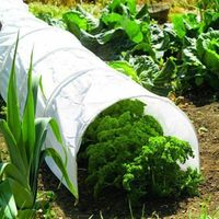 1.5m Polytunnel Cloche Mini Garden Greenhouse Seedling Propagator Plant Cover Frost Protection 1.5m x 45cm x 45cm