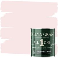 EVELYN GRANT All-IN-ONE Paint & Primer - Multi-Surface Paint For Interior Walls, Outdoor Garden & Exterior Walls, Wood Furniture - High Durability Multi-Feature - Blush Pink - 1L - Matt