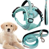 TUTUMI HUNDELEINE UND GESCHIRR PJ-061 L GREEN