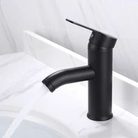 304 Stainless Steel Bathroom Tap with Hose, Hot and Cold Washbasin Tap, Hand Wash Basin Tap, for Bathroom Sink, Guest Toilet (Black)