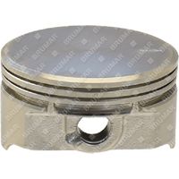 Pistone per motori DUCAR Compatibile - 055538