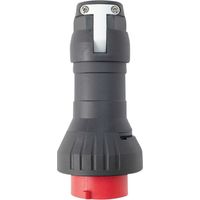 Ceag Sicherheitst. Stecker 500V 4Pol GHG 512 7407 R0001