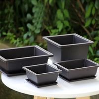 (B Oval M, comme sur la photo) Pots à bonsaï rectangulaires en plastique pour la culture de plantes succulentes, jardinière de jardin, balcon ou terrasse.