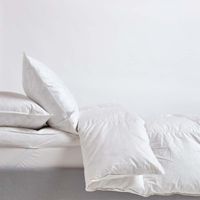 HOMESCAPES Couette été 240x220 cm en plumes et duvet de canard