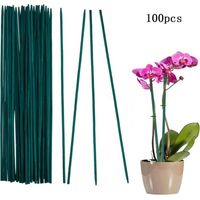 Tuteur Plante Bâtons de Support de Plantes - Lot de100 30cm Piquets de Plantes Résistants aux Intempéries Tuteur Tomate de Jardin pour Plantes Pois Légumes Support