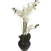 Composition Florale & Vase "Orchidée" 53cm Noir