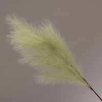 Conti Ramo Pampas 105 Cm Green