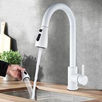 Zamery – Mitigeur de cuisine avec douchette extensible – Robinet rotatif 360° – 2 modes de pulvérisation – Acier inoxydable sans plomb